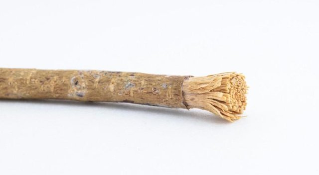 Grančica drva koja se koristila kao četkica za zube