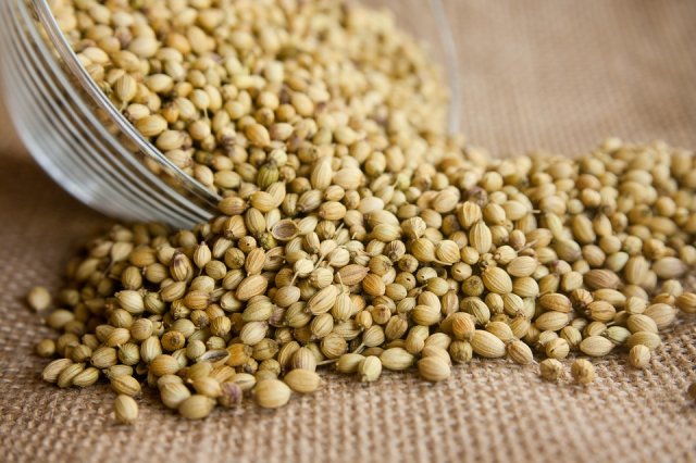 Sjemenke korijandera su ayurvedski lijek za ublažavanje upala